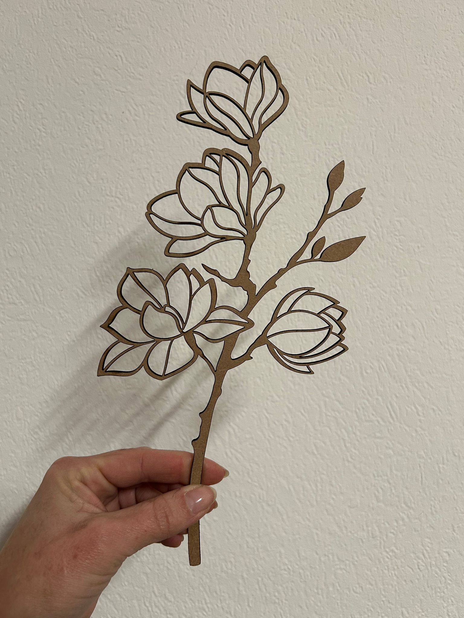 Mangnolie Blüte.jpeg